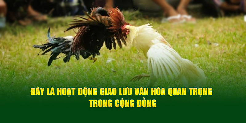 day-la-hoat-dong-giao-luu-van-hoa-quan-trong-trong-cong-dong