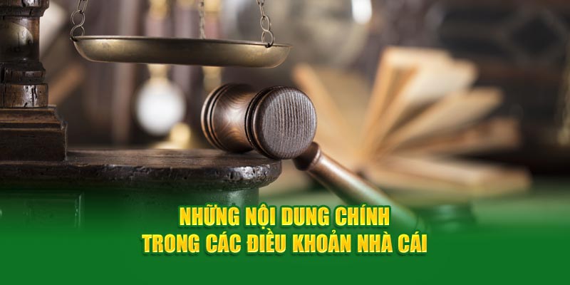 Những nội dung chính trong các điều khoản nhà cái